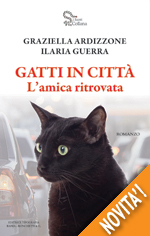 gatti in città l'amica ritrovata